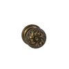 Shaded Bronze,Lacquered-SB