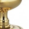 Unlacquered Brass-US3A