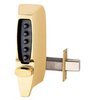 Bright Brass-605