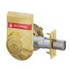 Bright Brass-605