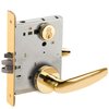 Bright Brass-605