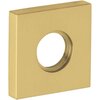 Satin Brass and Brown-060