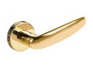 Bright Brass-605