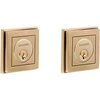 Satin Brass and Brown-060