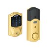 Bright Brass-605