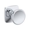 Polished Chrome-260