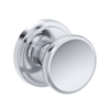Polished Chrome-260