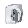 Polished Chrome-260