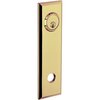 Satin Brass and Brown-060