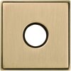 Satin Brass and Brown-060