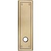 Satin Brass and Brown-060