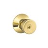 Lifetime Bright Brass-505