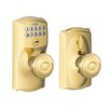 Lifetime Bright Brass-505
