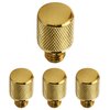 Lifetime Polished Brass-PVD